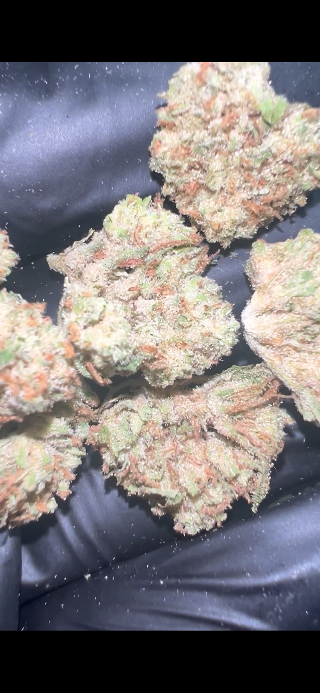 Royal OG smalls – THCa Flower A